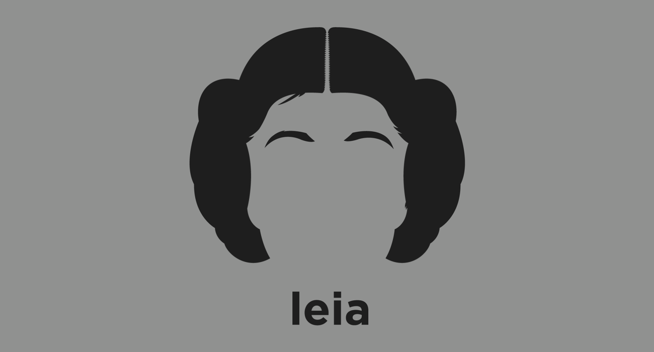 Princess Leia shirt from Hirsute History