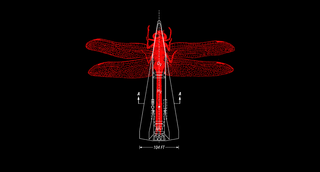 A dragonfly woodcut and a patent drawing of a rocket