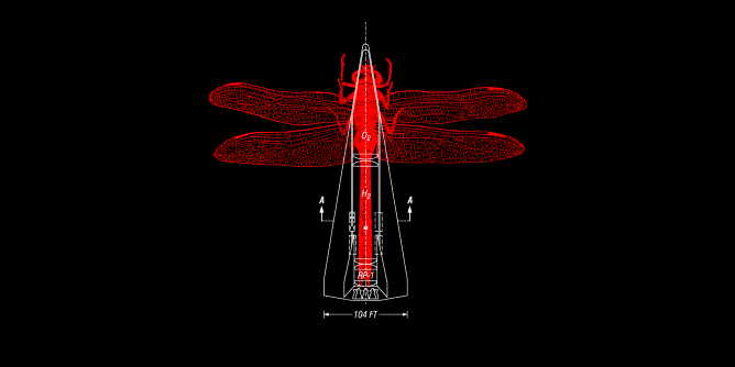 Graphic for dragonflyrocket