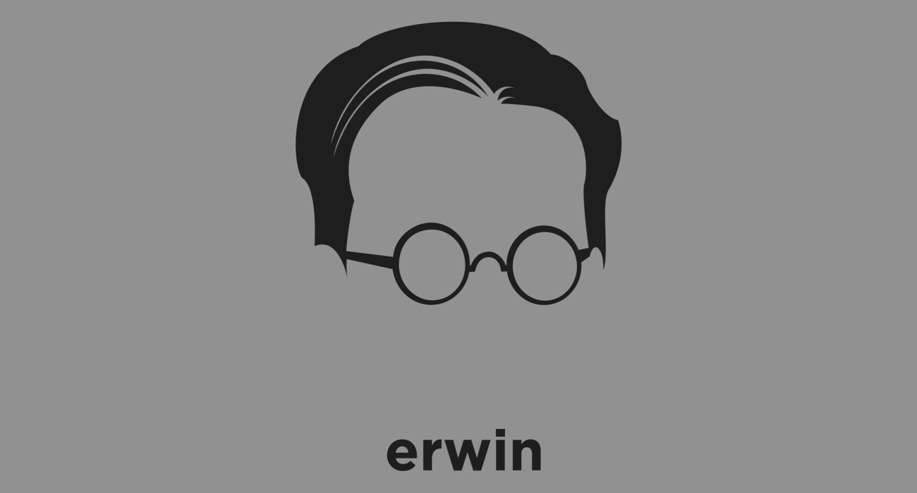 Erwin Schrodinger: physicist who developed a number of fundamental results in the field of quantum theory, which formed the basis of wave mechanics. Noted cat lover