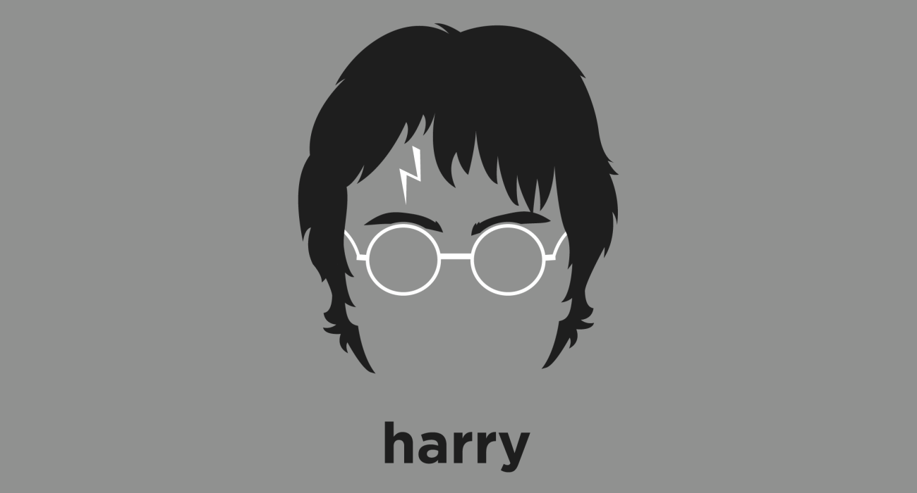 Harry Potter: Orphan, boy Wizard, occasional Horcrux, beautiful animal, destroyer of worlds, and expert Quidditch seeker.