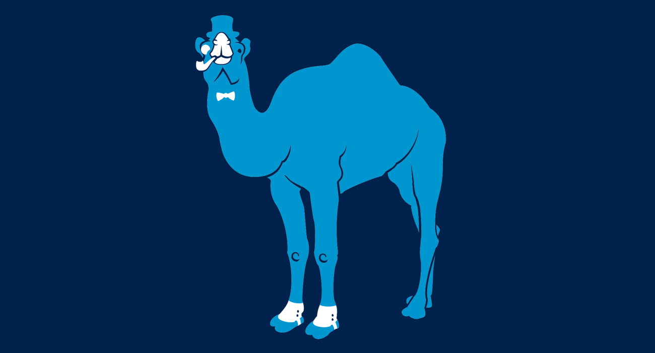 A fancy pants camel, dressed to the nines and ready for a night out on the town