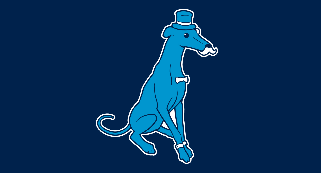 A classy lil' greyhound wearing a top hat and dressed to the nines, then slathered on a t-shirt