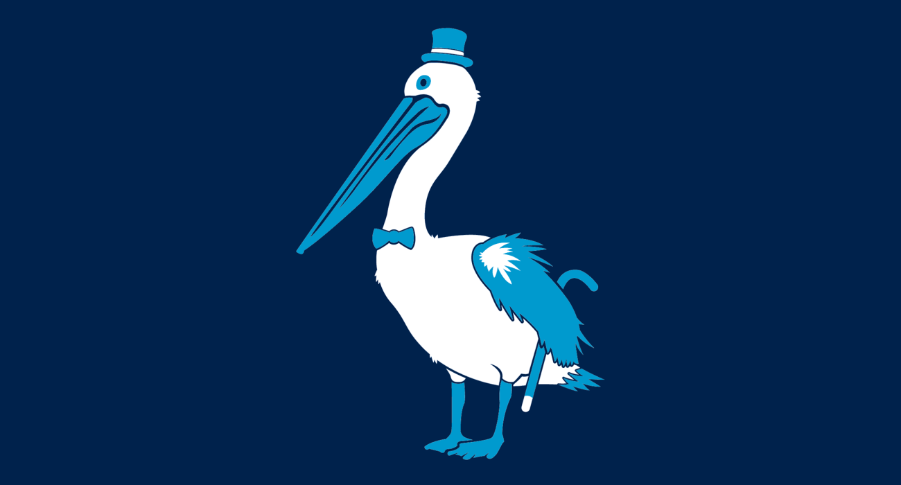 A fancy pants pelican, dressed to the nines and ready for a night out on the town