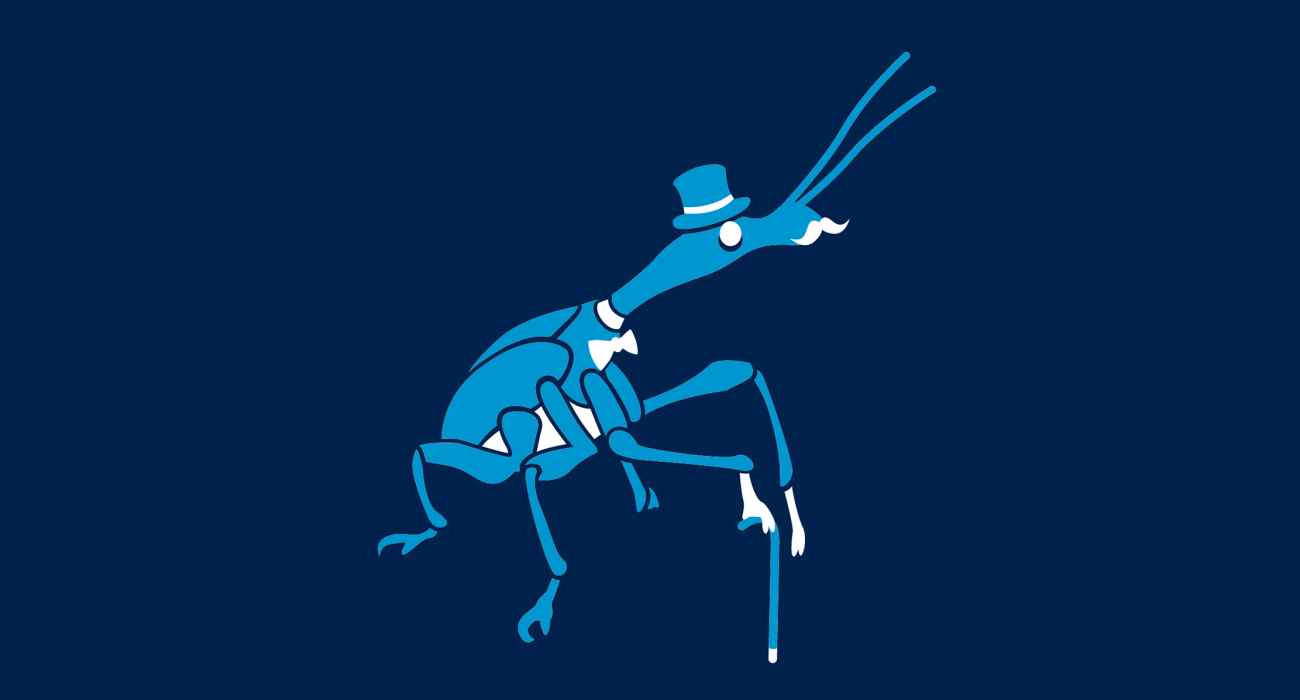 A fancy pants weevil, dressed to the nines and ready for a night out on the town